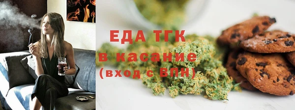 индика Абинск