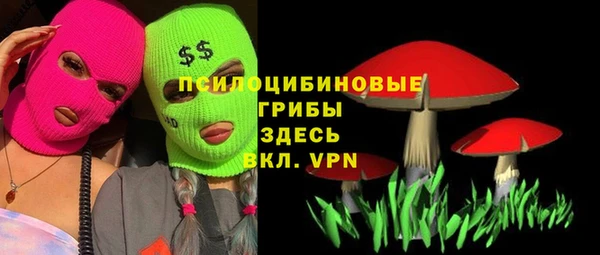 дмт Абдулино