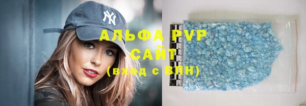 индика Абинск