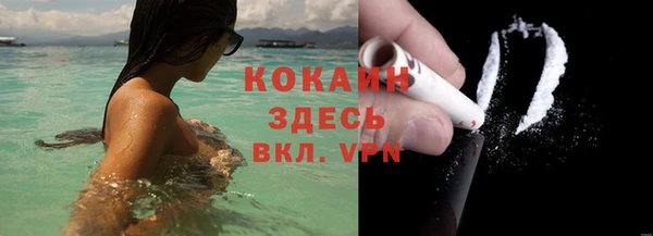 индика Абинск
