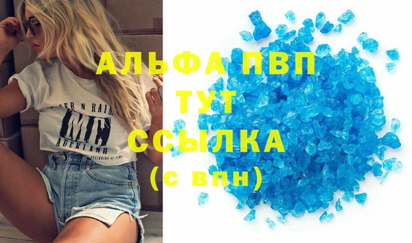 индика Абинск