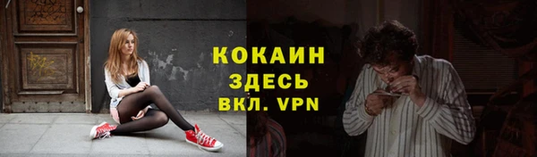 индика Абинск