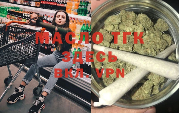 индика Абинск