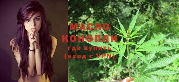 индика Абинск