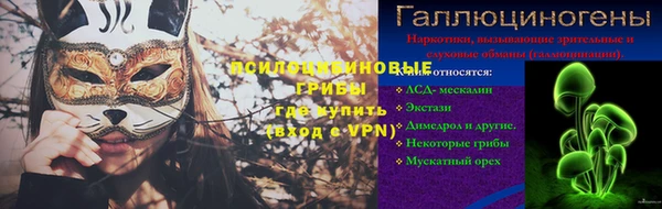 индика Абинск