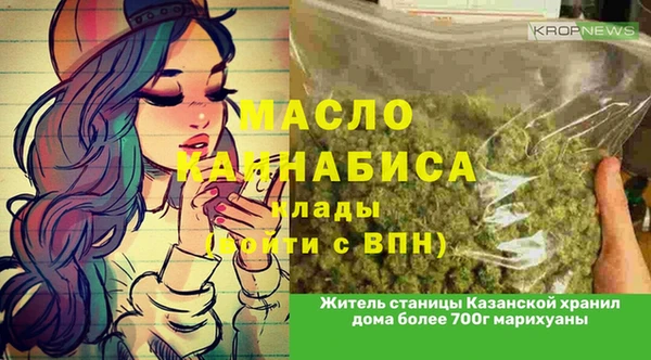 индика Абинск