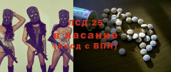 индика Абинск